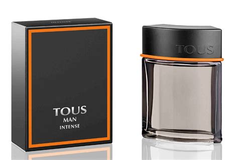 tous perfume for men.